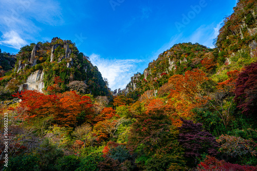autumn leaves in the mountains, yabakei, oita, japan