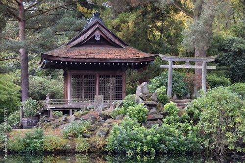 Japanese garden Autumn © Gary