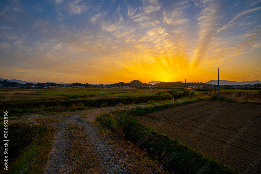 sunset on the countryside, rice field, japan
