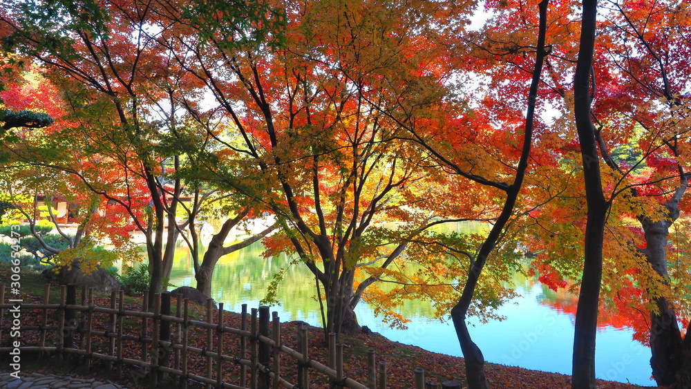 紅葉の栗林公園南湖7 Stock Photo Adobe Stock 紅葉の栗林公園南湖7 Stock Photo Adobe Stock