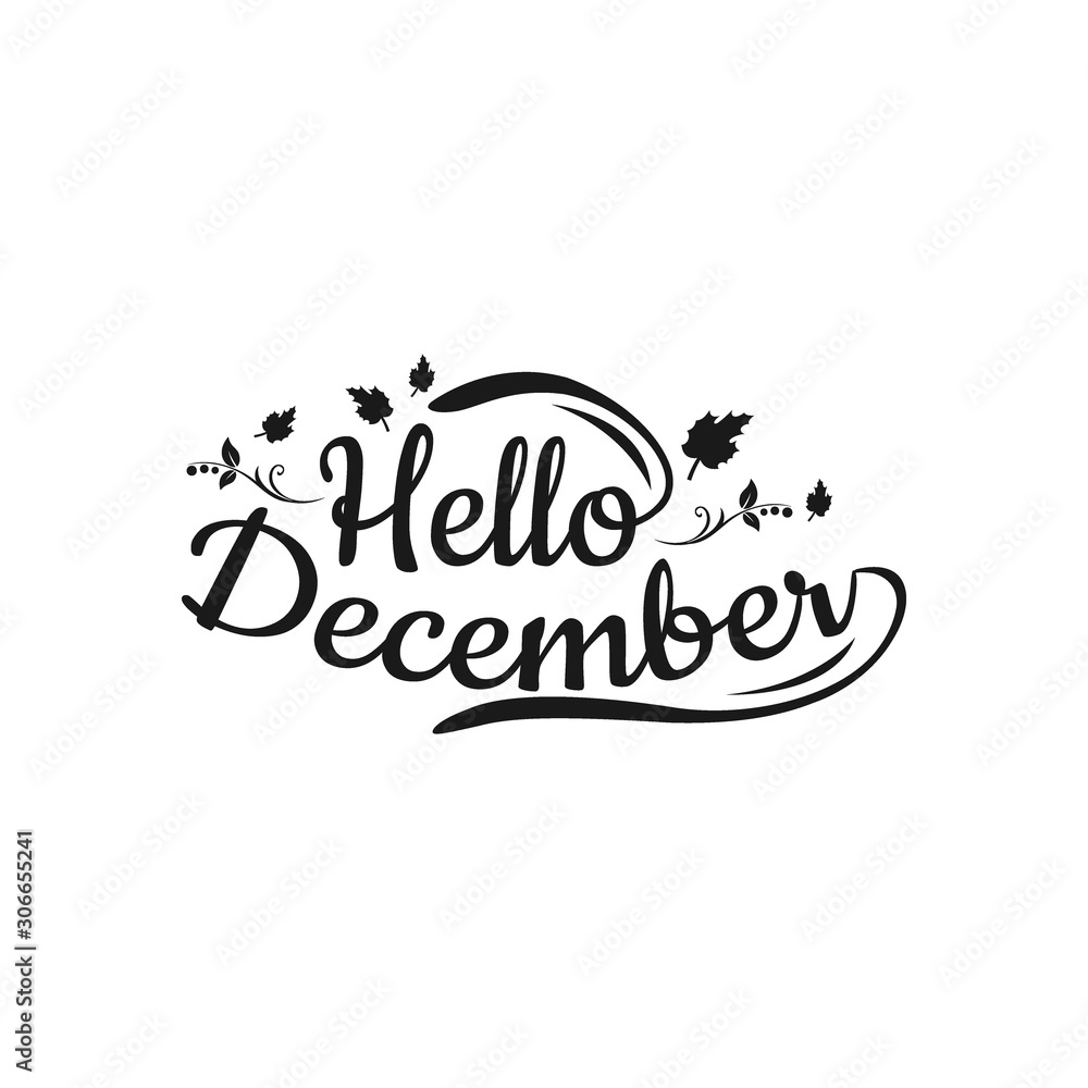 Hello december quote isolated on white background. Hand drawn winter inspirational card. Vector illustration Hello december quote isolated on white background. Hand drawn winter inspirational card. Vector illustration
