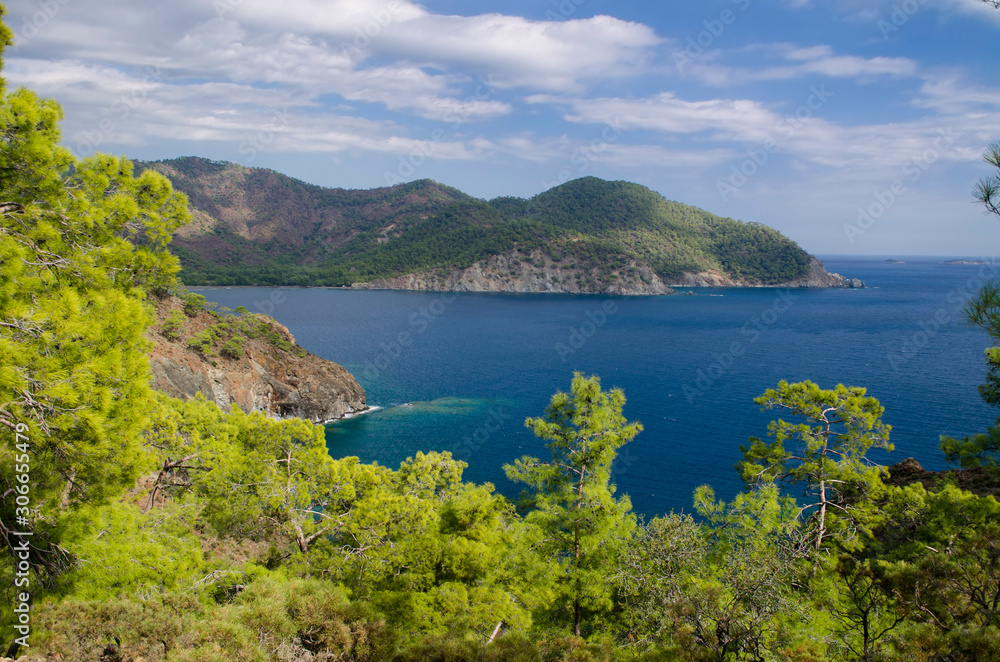 Mountain vegetation on the Mediterranean coast