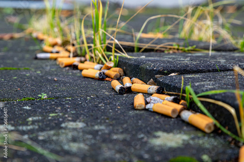 Viele Zigaretten sind auf der Straße und verschmutzen die Umwelt