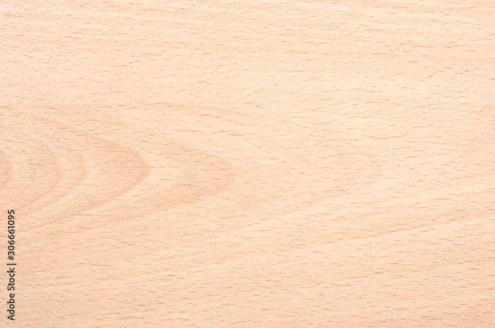 Close-up of beech fiber background . Wood tree texture . Close-up of beech fiber background . Wood tree texture .