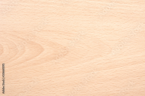 Valokuvatapetti Close-up of beech fiber background . Wood tree texture .