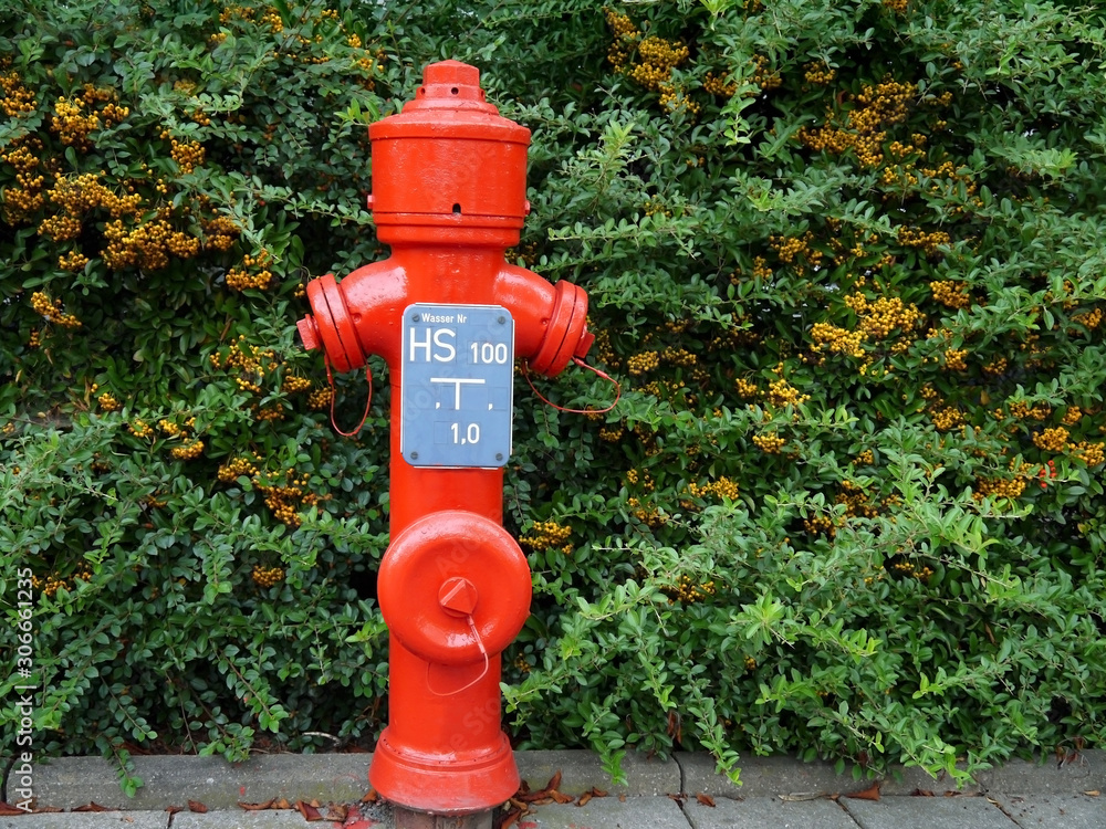 Red fire hydrant on a background of bushes with yellow berries. Erlangen. Germany. Red fire hydrant on a background of bushes with yellow berries. Erlangen. Germany.