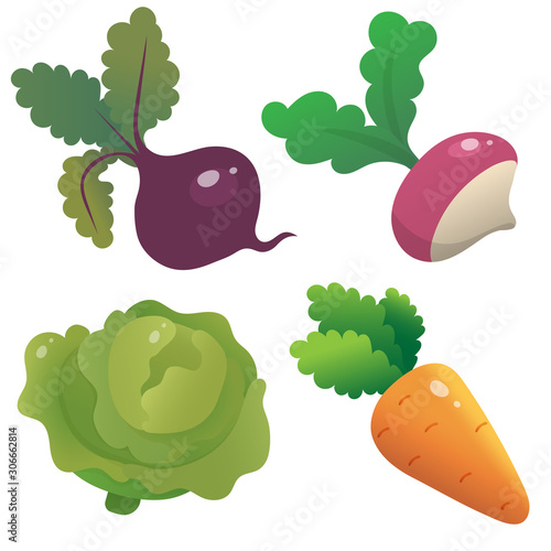 Color images of cartoon cabbage, carrot, beet and radish on white background. Vegetables. Vector illustration set for kids.