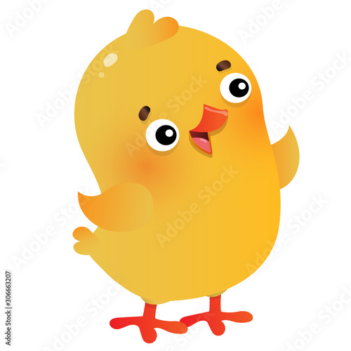 Color image of cartoon chick on white background. Farm animals. Vector illustration for kids.