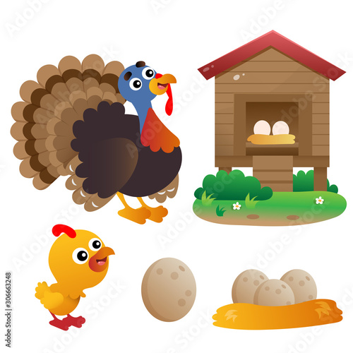 Color images of cartoon turkey with nestling on white background. Farm animals. Vector illustration set for kids.