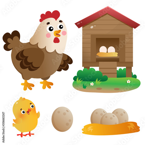 Color images of cartoon chicken or hen with chick, coop and eggs on white background. Farm animals. Vector illustration set for kids.