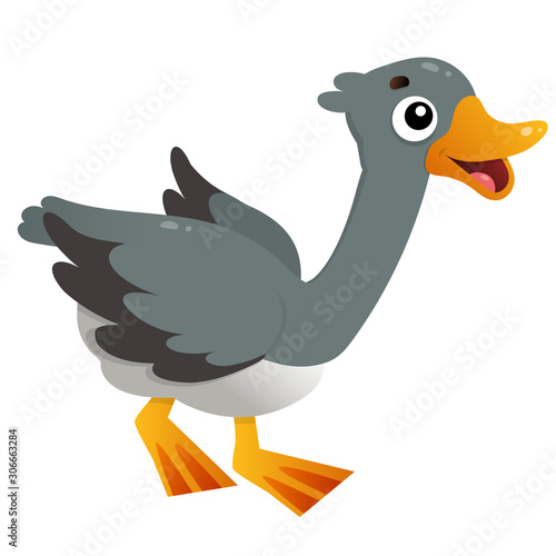 Color image of cartoon goose on white background. Farm animals. Vector illustration for kids.