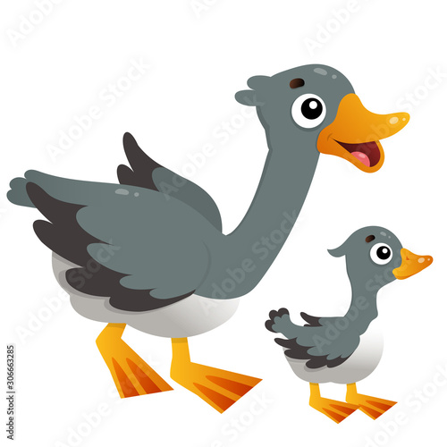 Color image of cartoon goose with gosling on white background. Farm animals. Vector illustration for kids.