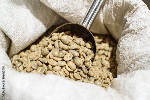 Green coffee beans in a bag in a cozy coffee shop