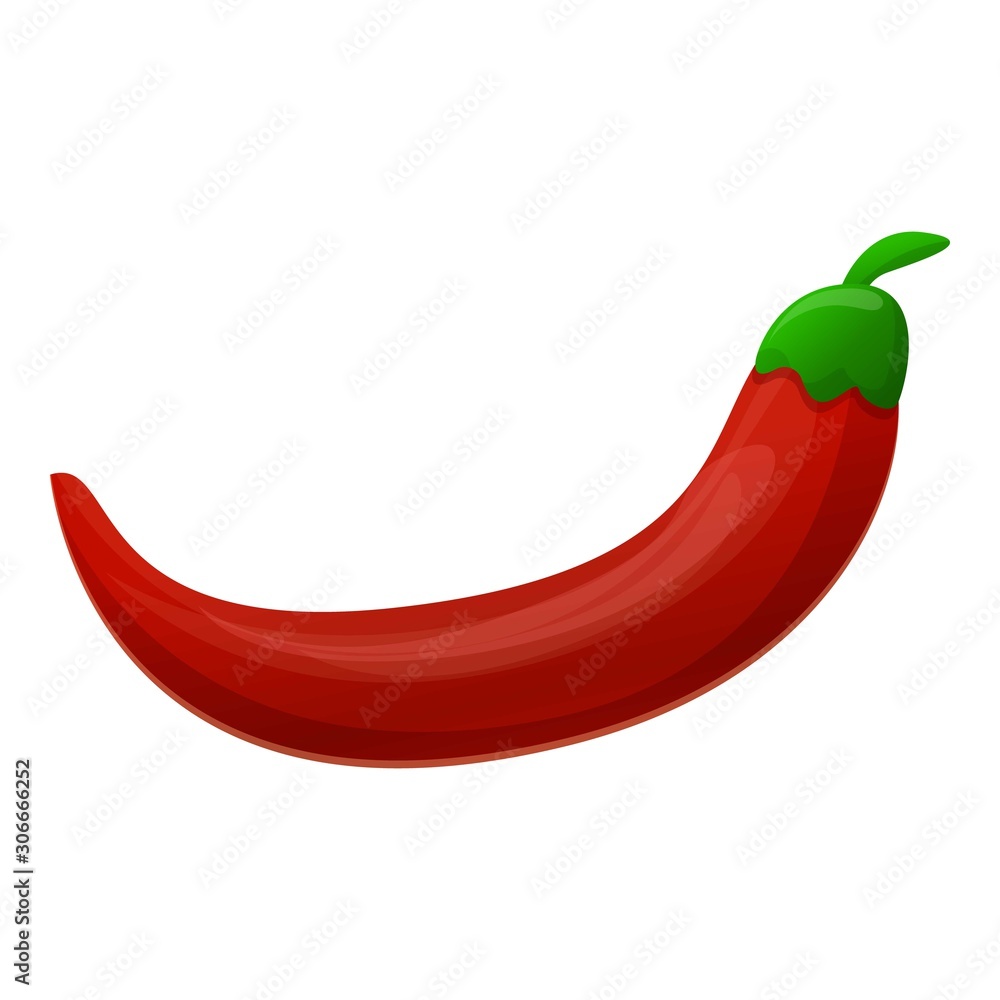 Red chili pepper icon. Cartoon of red chili pepper vector icon for web design isolated on white background Red chili pepper icon. Cartoon of red chili pepper vector icon for web design isolated on white background
