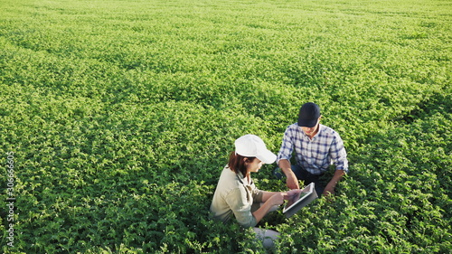 Top view of two young farmers working in a chickpea field, talk and use the tablet