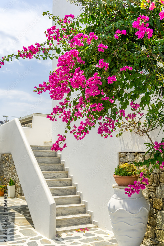 Fototapeta premium White stairway with pink flowers. Mykonos Island, Greece.