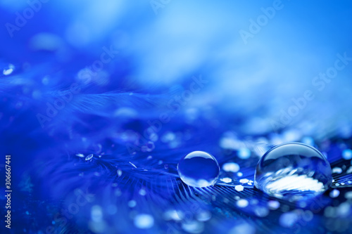 Beautiful transparent water drops or rain water on soft background. Macrophotography. Desktop background. Selective focus.