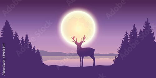 lonely reindeer in forest at full moon by the lake vector illustration EPS10