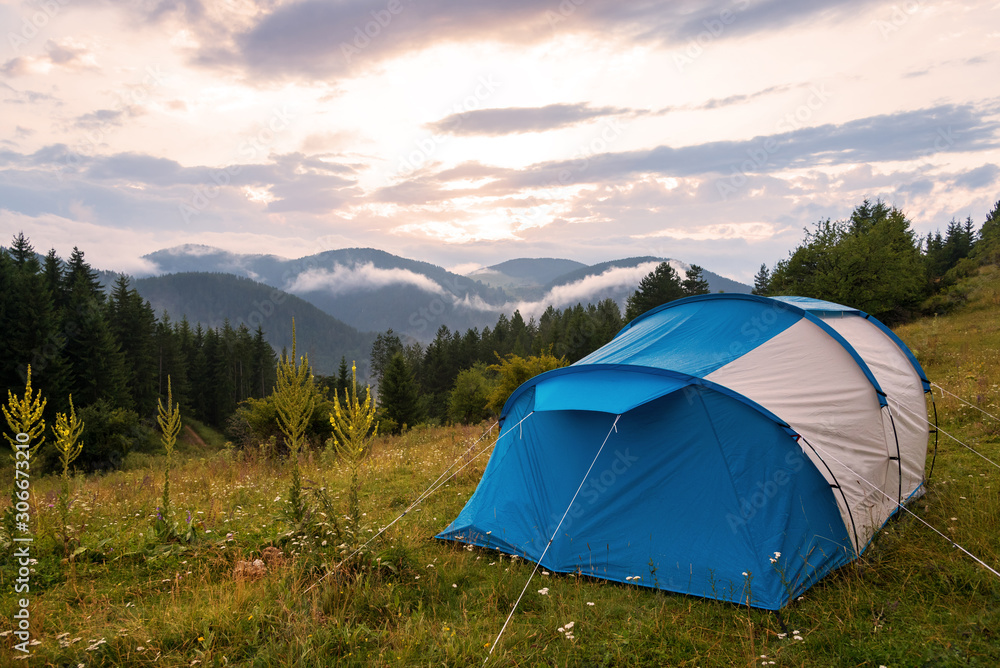 Tent in forest meadow.