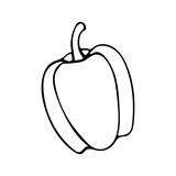 Vector hand drawn outline illustration of bell pepper. Black contour doodle in line art style. Sketch of farm and garden vegetable. Isolated contour icon. Coloring book design element