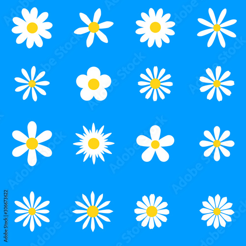 Chamomile. White daisy round flower set. Camomile icon collection.  Isolated on blue background. Flat design. Vector illustration. Summer chamomile flower. Love symbol