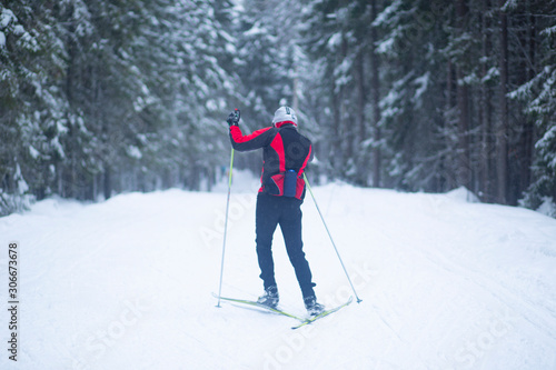 Cross country. A skier is skiing in winter in the woods. © Александр Поташев