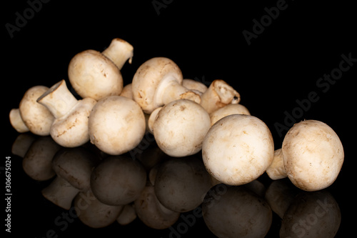 Lot of whole fresh white champignon heap isolated on black glass