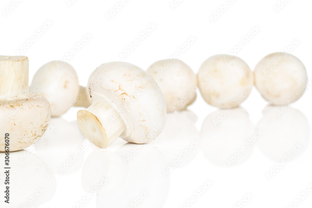 Lot of whole common fresh white champignon isolated on white background