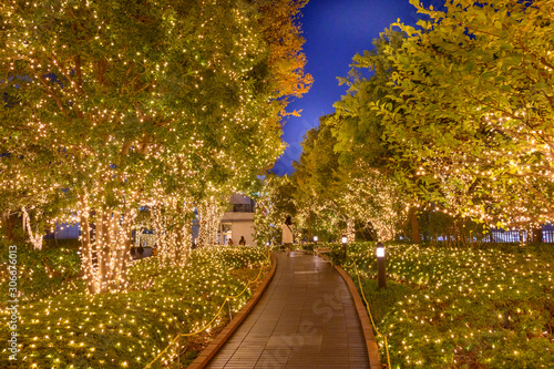 Canvas Print Christmas  illumination in Tokyo at Shinjuku district, Japan,