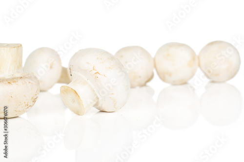 Lot of whole common fresh white champignon isolated on white background