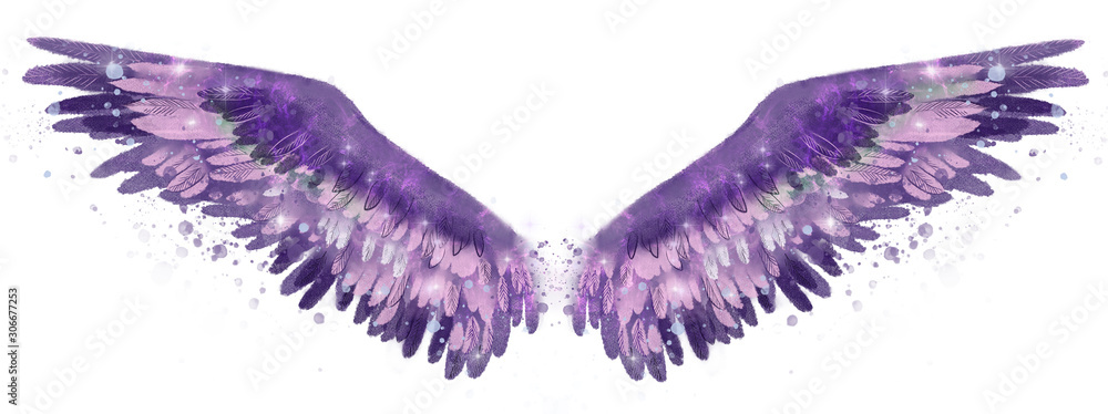 Fototapeta Beautiful purple pink watercolor spreaded wings with touch of green color