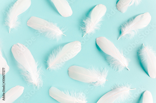 White feather texture on a blue background. Feather background. Flat lay, top view © K.Decor