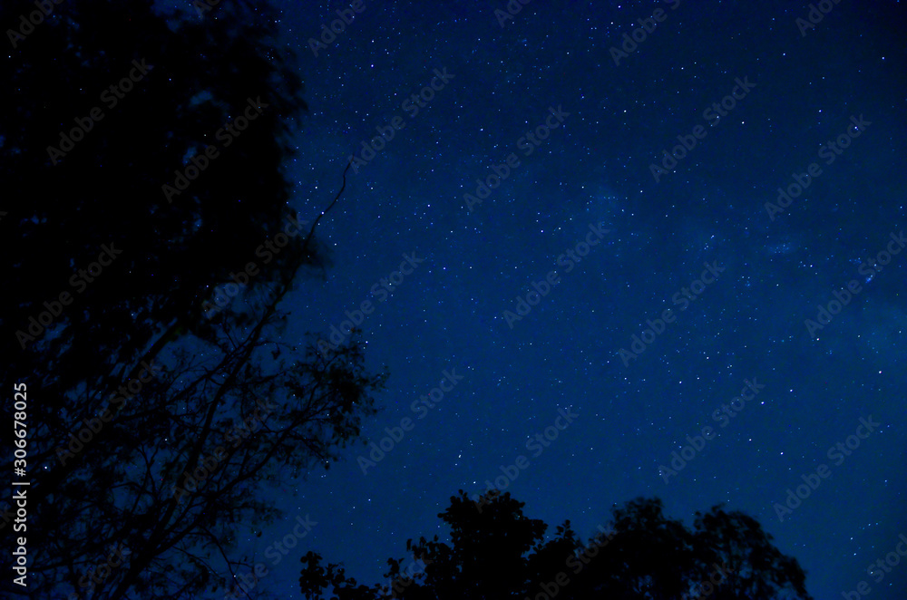 Fototapeta premium Night sky with star.