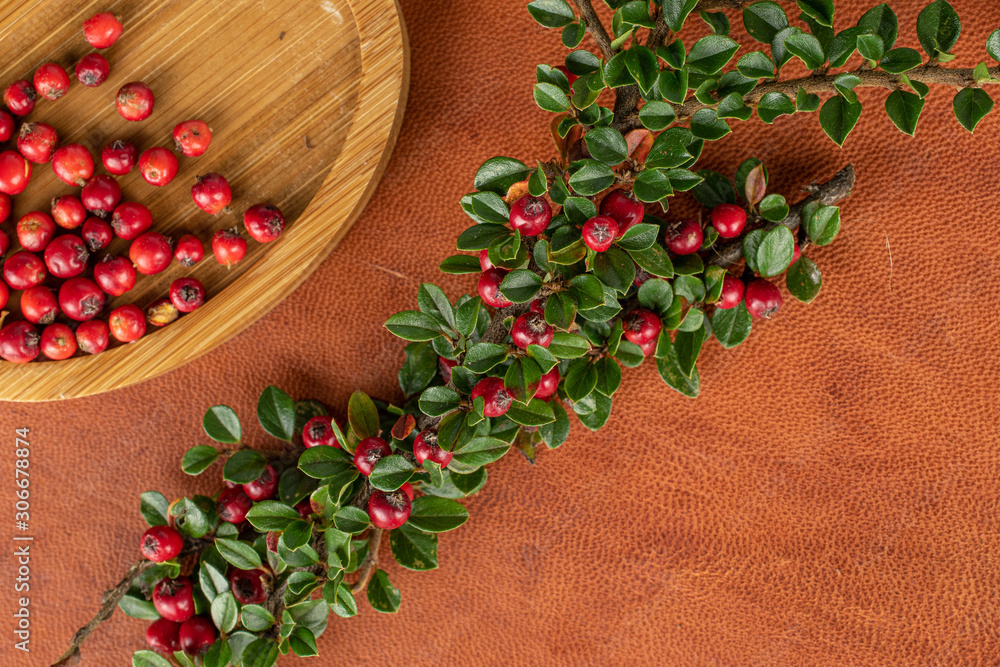Lot of whole arranged wild red rowanberry on round bamboo coaster flatlay on cognac leather Lot of whole arranged wild red rowanberry on round bamboo coaster flatlay on cognac leather