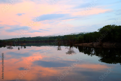 beautiful reflection of trees in the river - Rio Negro, Amazon, Brazil, South America