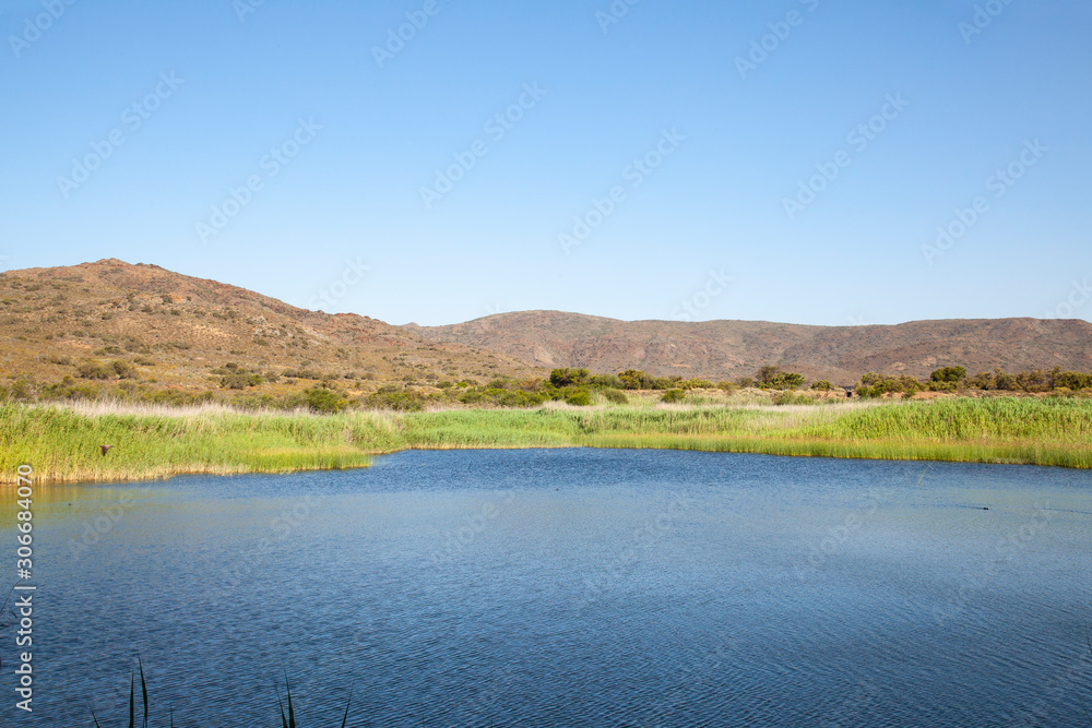 Vrolijkheid Nature Reserve dam and wetlands in evening light  near McGregor, Breede River Valley, Western Cape, South Africa