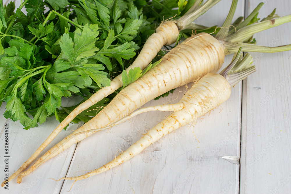 Group of three whole hamburg white parsley root on white wood Group of three whole hamburg white parsley root on white wood