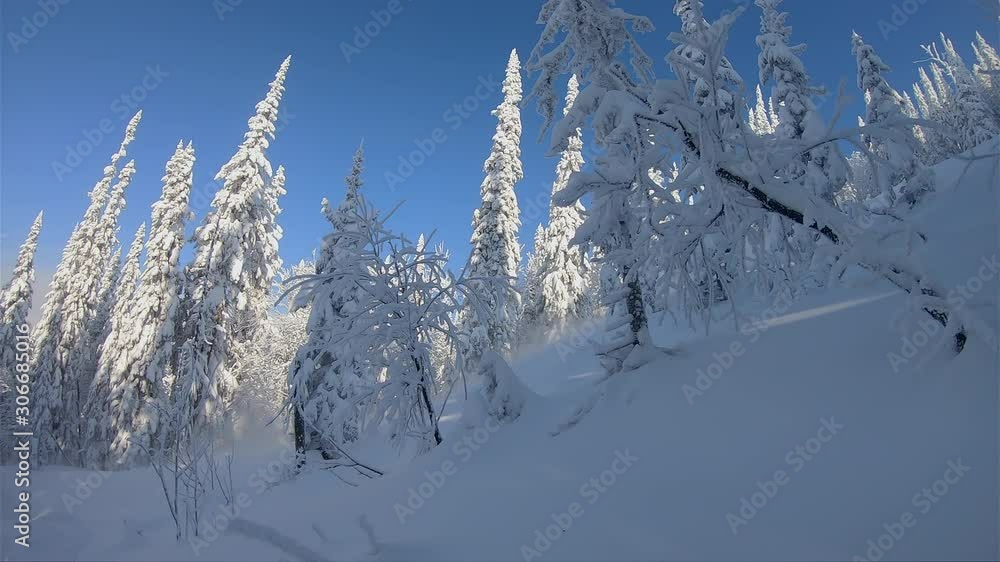 elite snowmobile rider makes a turn and jump. on the background of the winter forest, leaving behind a trail of splashes of white snow. bright snowmobile and suit. snowmobilers sports riding elite snowmobile rider makes a turn and jump. on the background of the winter forest, leaving behind a trail of splashes of white snow. bright snowmobile and suit. snowmobilers sports riding
