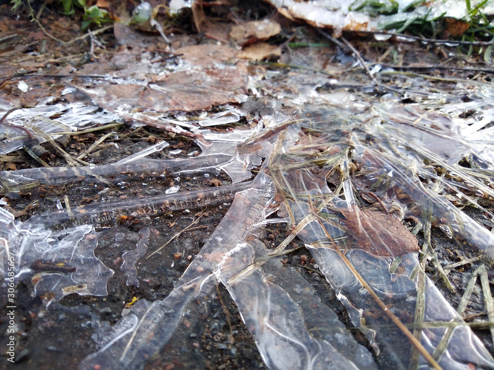 frozen ice on fallen leaves in a puddle frozen ice on fallen leaves in a puddle