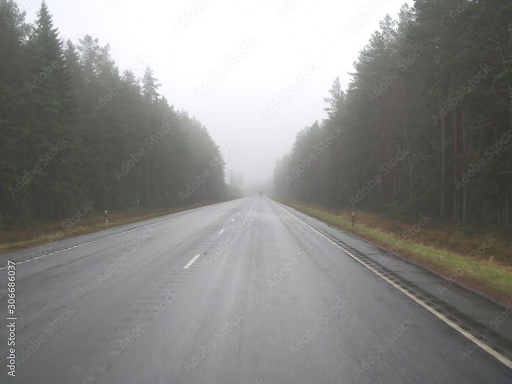 Autumn driving on wet road through forests in Finland Autumn driving on wet road through forests in Finland