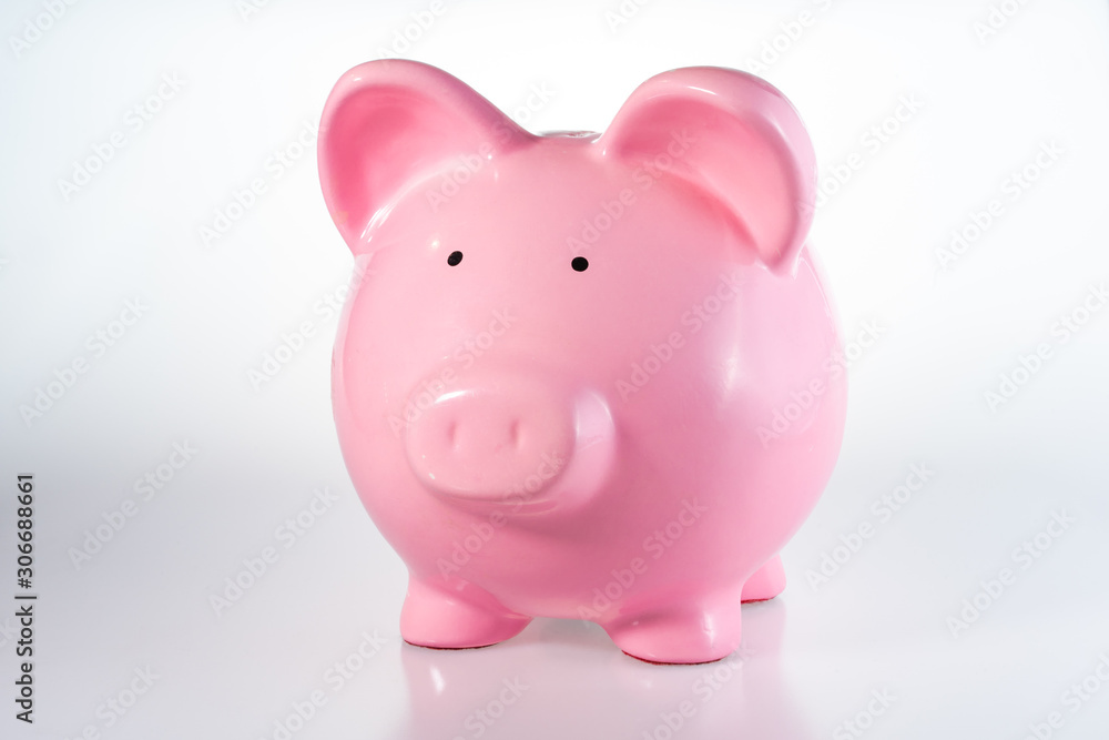 Piggy Bank on a Plain White Background