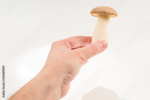 Eringi mushrooms isolated on white  background.