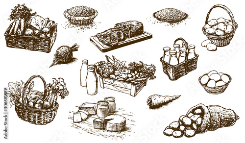 farm products - food, set of hand-drawn illustrations (vector)