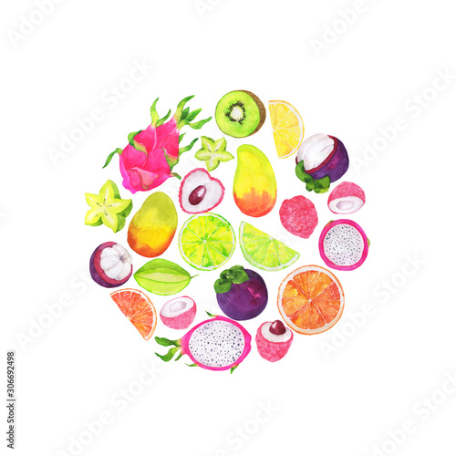 Tropical fruit circle isolated on white background. Hand drawn watercolor illustration.