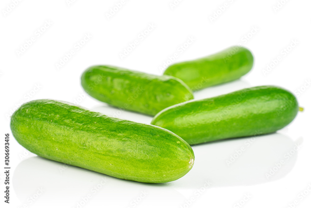 Group of four whole fresh green baby cucumber isolated on white background Group of four whole fresh green baby cucumber isolated on white background