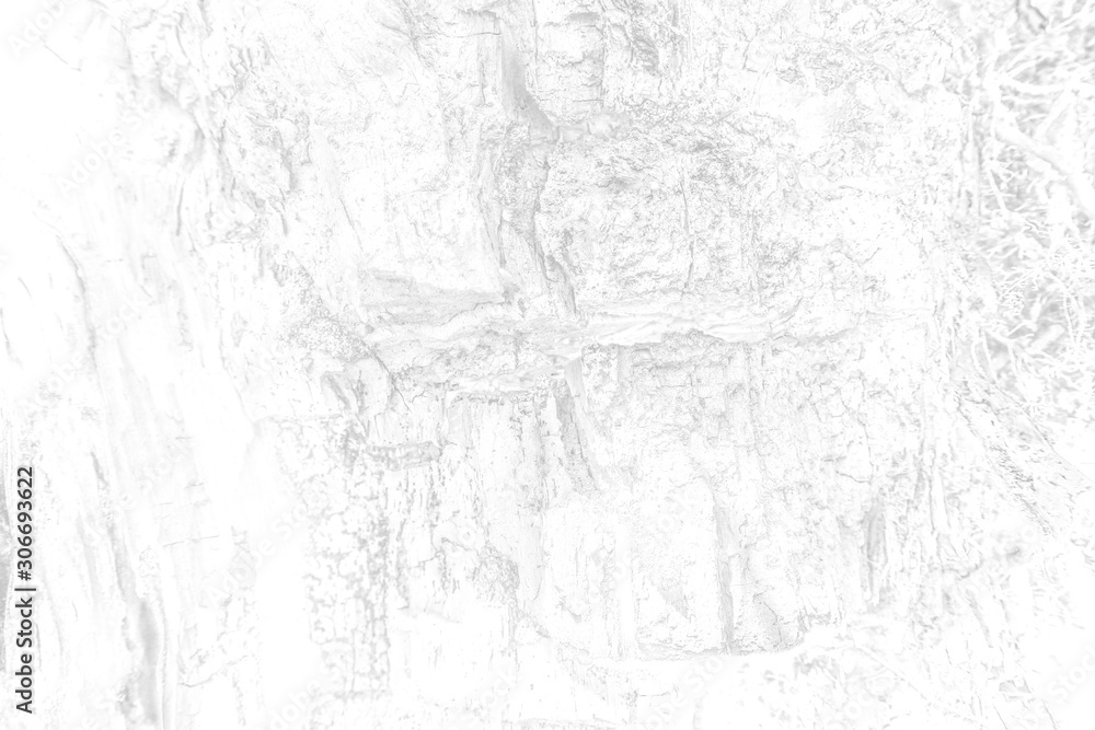 Fototapeta premium The old wood texture with deep natural patterns and cracks on the surface on black and white colours.