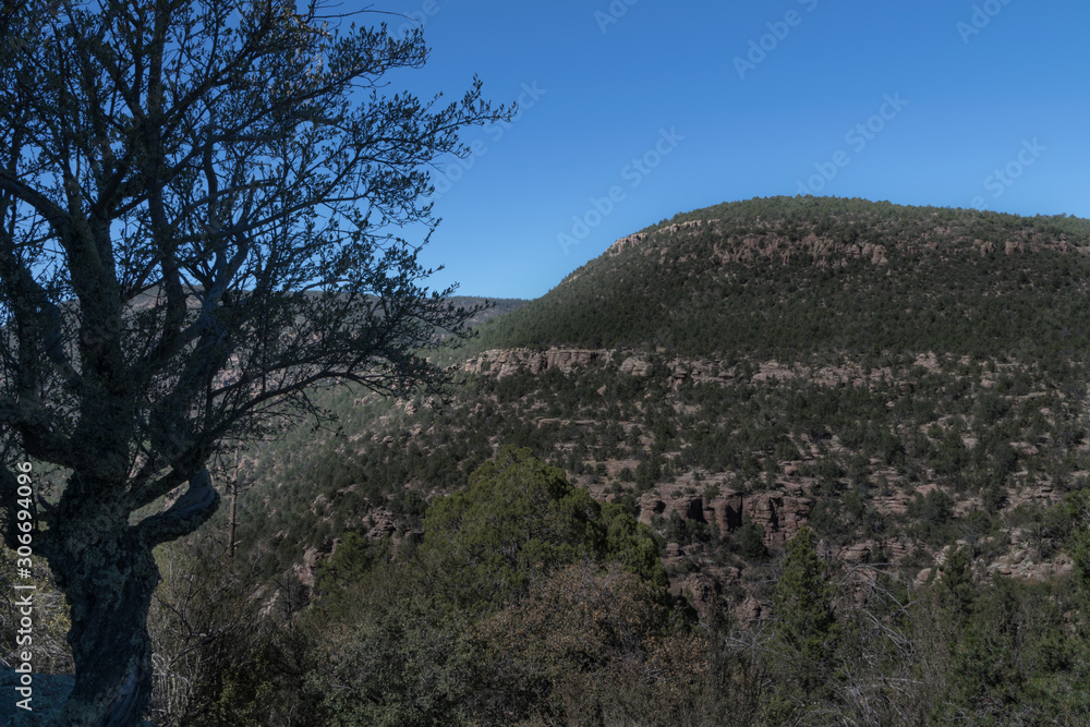 View of the Pinos Altos Range, New Mexico. View of the Pinos Altos Range, New Mexico.
