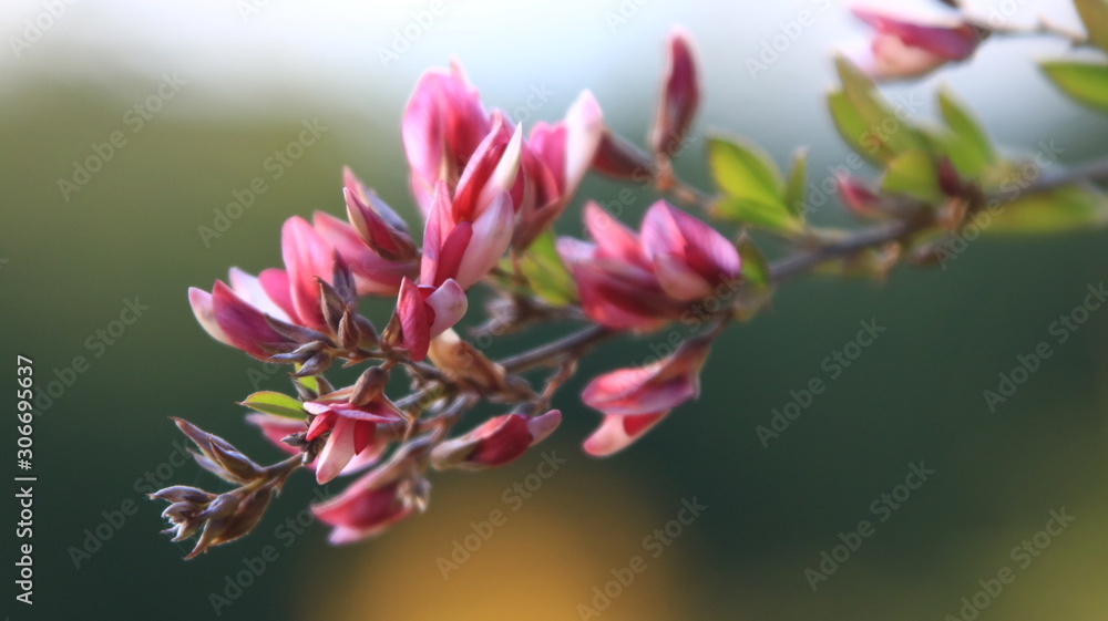 Fototapeta premium 秋の三田市の風景