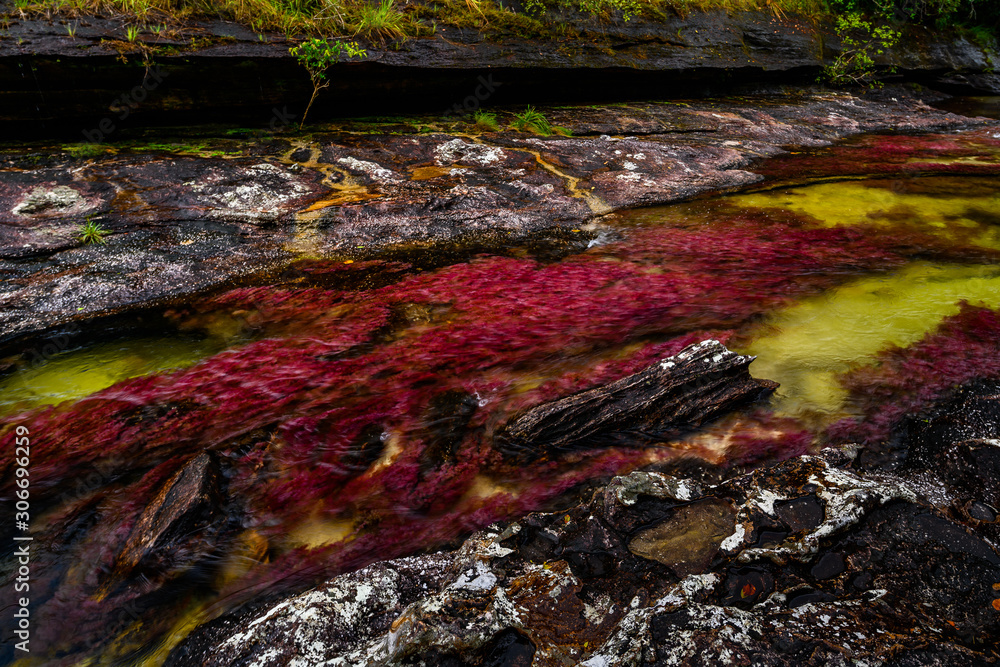 The rainbow river or five colors river is in Colombia one of the most ...