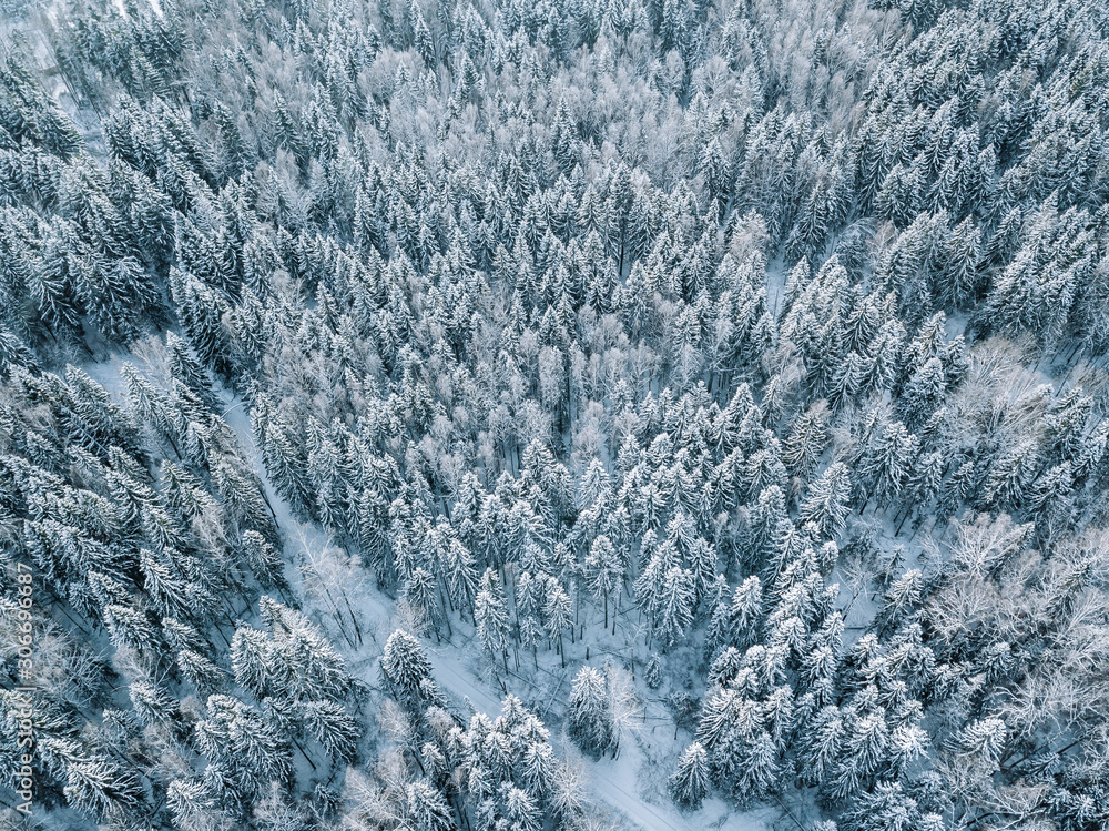 image to crop